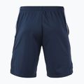 Pantaloni scurți pentru bărbați Joma Terra dark navy/royal 2