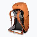 rucsac de trekking pentru copii Osprey Ace 38 l portocaliu apus de soare pentru copii 6