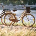 Kellys Royal Dutch 460 biciclete de oraș negru 72362 8