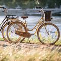 Kellys Royal Dutch 460 biciclete de oraș albastru 72363 3