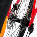 Kellys Spider 50 29  biciclete de munte roșu 72170 11