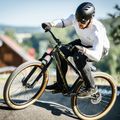 Kellys Whip 30 dirt bike gri/negru 76398 5