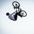 Kellys Whip 30 dirt bike gri/negru 76398 7