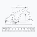 Kellys Spider X50 27.5" grafit gri biciclete de munte 2