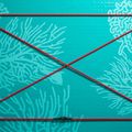 SUP ABSTRACT Coral Coral 10'6''' bord topaz 3