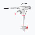 Motor electric Wolong Flowstar 1.5 Tiller Shortshaft with battery white