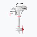 Motor electric Wolong Flowstar 1.5 Tiller Shortshaft with battery white 2