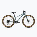 Bicicleta pentru copii Superior F.L.Y. 24 DB gri 801.2022.24003