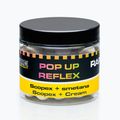 MIVARDI Rapid Pop Up Reflex Scopex + Cremă 70 g bile plutitoare