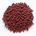 MIVARDI Rapid Boilies Starter Fruit Bomb 3.5 kg bile de proteine 4