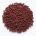 MIVARDI Rapid Boilies Starter Hot Spice 3.5 kg bile de proteine 4