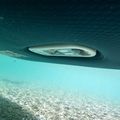 JOBE SUP bord E-Duna Elite 11'6" Pachet albastru marin 488823001 18