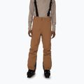 Pantaloni de schi bărbați Protest Owens bej 4791900 4791900