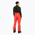 Pantaloni de snowboard pentru bărbați Protest Prtrowens burnt orange 4