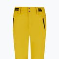 Pantaloni de snowboard pentru femei Protest Prtcinnamones oliveoil green 3