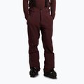 Pantaloni de snowboard pentru bărbați Protest PRTMikado pecanred