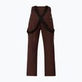 Pantaloni de snowboard pentru bărbați Protest PRTMikado pecanred 7