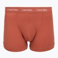 Boxeri pentru bărbați Calvin Klein 0000U2662G Trunk 3 perechi sodalite blue/redwood/white pepper 6