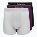 Boxeri pentru bărbați Calvin Klein LV00NB4394 Brief black/harbor mist/dark purple w/ dt
