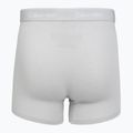 Boxeri pentru bărbați Calvin Klein LV00NB4394 Brief black/harbor mist/dark purple w/ dt 5