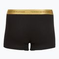 Boxeri pentru bărbați Tommy Hilfiger Trunk Metallic gold/burgundy/green 5