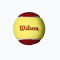 Set de mingi Wilson Starter Red Tballs 12 buc. galben/roșu WRT137100 3