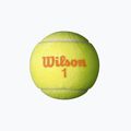 Wilson Starter Orange Tball set de mingi de tenis pentru copii 3 buc galben WRT137300 3