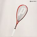 Rachetă de squash Prince Team Airstick 500 roșu/negru 8