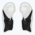Mănuși de box Twins Special BGVL6 black/white 3