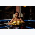 Mănuși de box Fairtex Universal "Tight-Fit" Design Falcon gold 2
