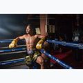 Mănuși de box Fairtex Universal "Tight-Fit" Design Falcon gold 3