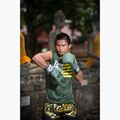 Mănuși de box Fairtex F-DAY Limited Edition pickle 5