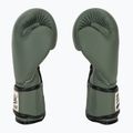 Mănuși de box Fairtex F-DAY Limited Edition pickle 4