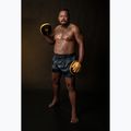 Fairtex Speed & Accuracy Focus Mitts negru/golden labe de antrenament 4