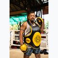 Fairtex Speed & Accuracy Focus Mitts negru/golden labe de antrenament 6