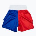 Fairtex Boxing Trunks BT2001 "Filipine" roșu/alb/albastru pantaloni scurți de box 2
