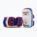 Scut de antrenament YOKKAO Curved 2 buc. thai flag