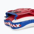 Labe de antrenament YOKKAO Focus Mitts thai flag 4