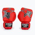Mănuși de box YOKKAO Institution Boxing red 2