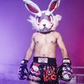 Pantaloni scurți de antrenament pentru bărbați YOKKAO Angry Rabbit Muay Thai black 6