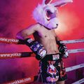 Pantaloni scurți de antrenament pentru bărbați YOKKAO Angry Rabbit Muay Thai black 7