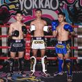 Pantaloni scurți de antrenament pentru bărbați YOKKAO Original Muay Thai white 5