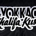 Pantaloni scurți de antrenament pentru bărbați YOKKAO Khalifa Kush Muay Thai black 4