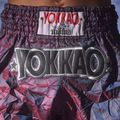 Pantaloni scurți de antrenament pentru bărbați YOKKAO Lunar Muay Thai iridescent blue grey 13