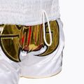 Pantaloni scurți de antrenament Top King Kickboxing multicolor 5