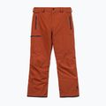 Pantaloni de snowboard pentru bărbați Volcom L Gore-Tex Pant Burnt Orange 10