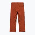 Pantaloni de snowboard pentru bărbați Volcom L Gore-Tex Pant Burnt Orange 11