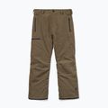 Pantaloni de snowboard pentru bărbați Volcom L Gore-Tex Pant Teak 9
