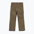 Pantaloni de snowboard pentru bărbați Volcom L Gore-Tex Pant Teak 10