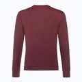 Bluză pentru bărbați Atomic Alps Sweater maroon 4